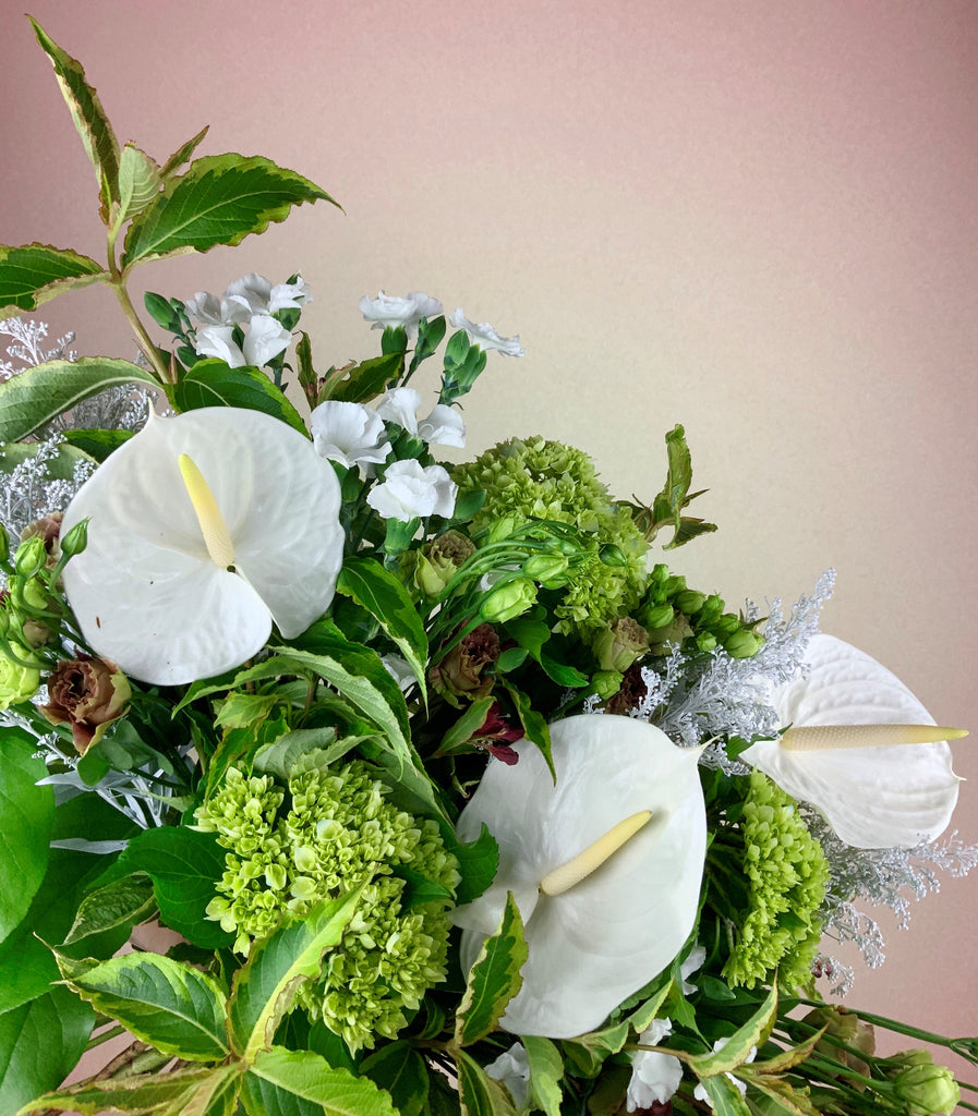 3 Reasons We Love Anthurium!