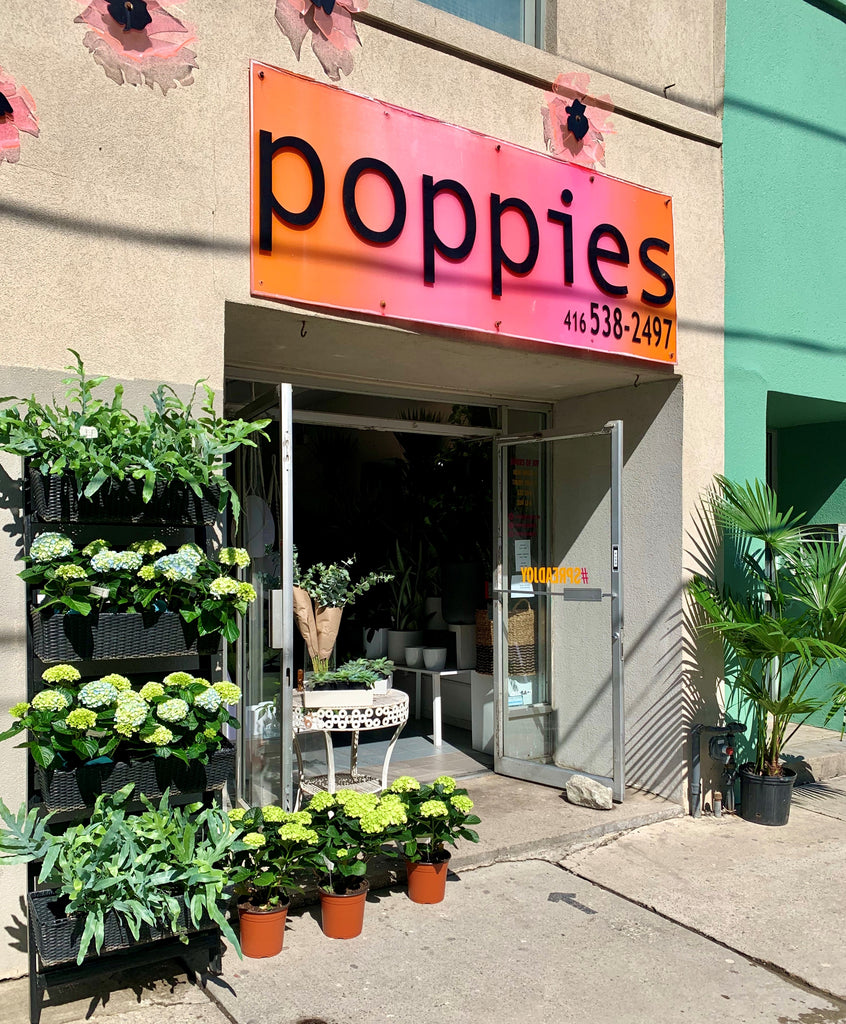 Poppies' store front