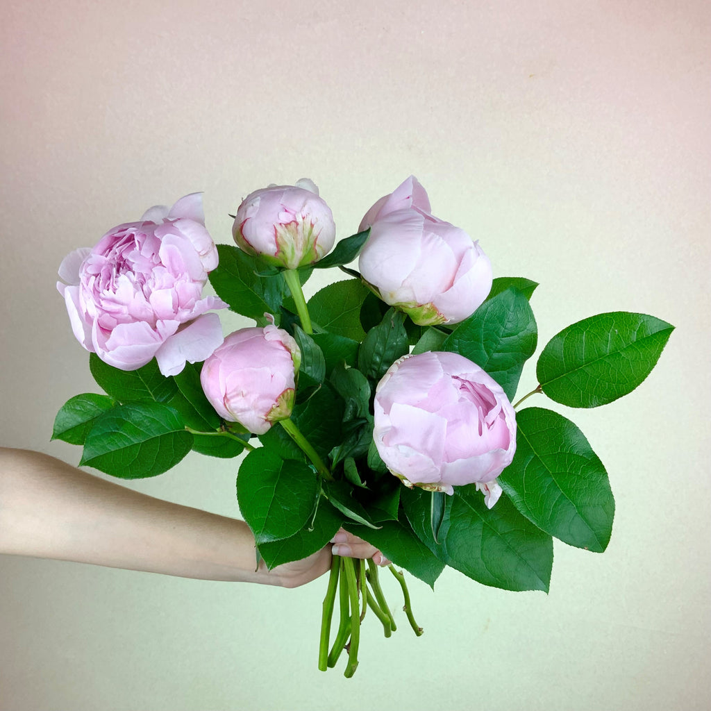 Weekend Special Peony Bouquet