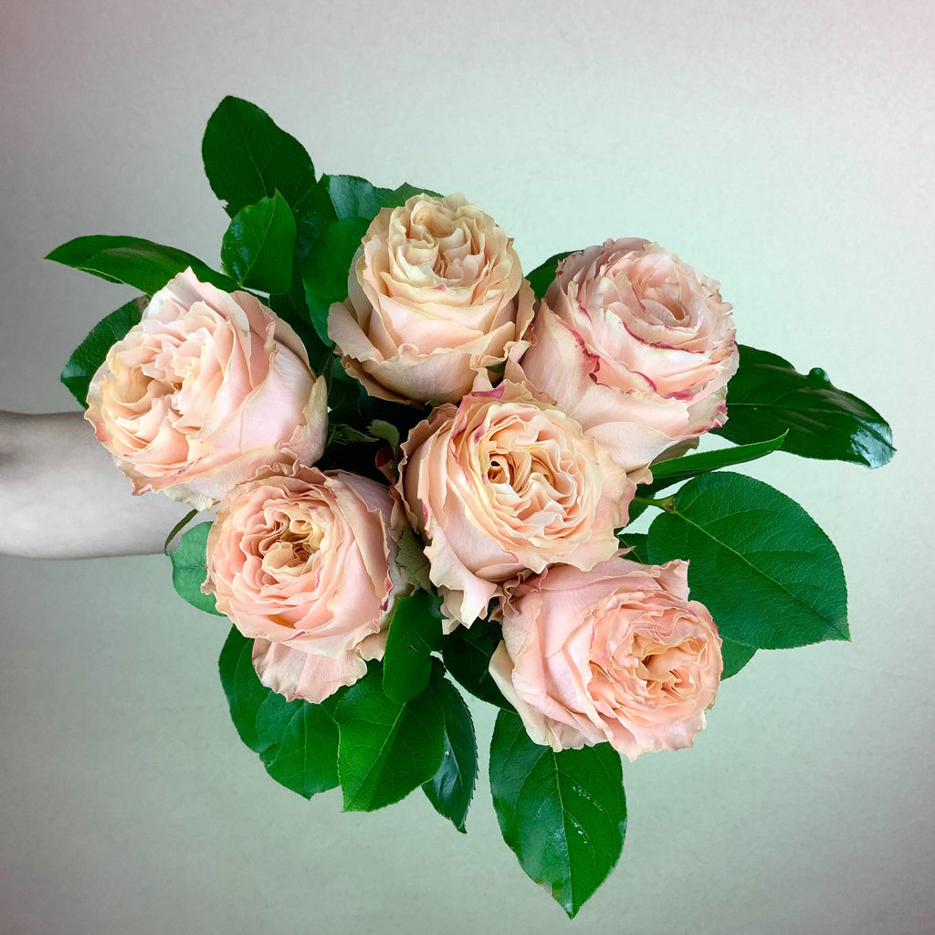 Weekend Special Rose Bouquet