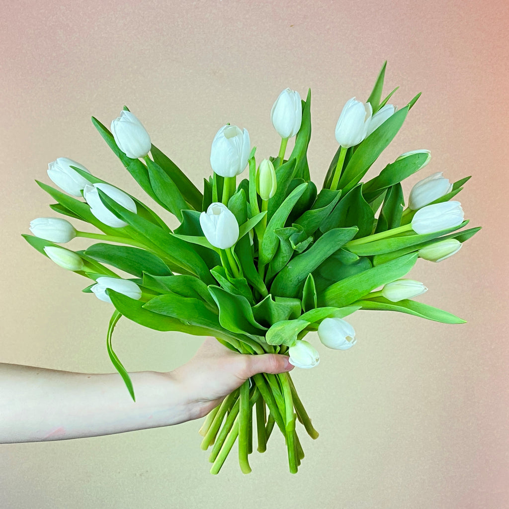 White Tulip Bouquet