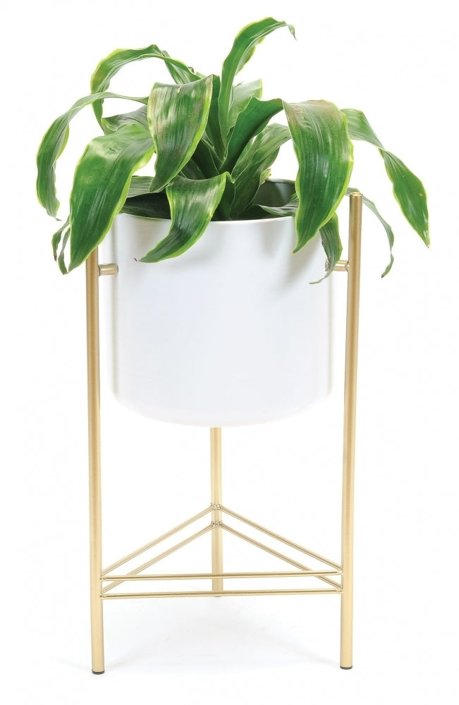 White Pot with Gold Stand - 8"